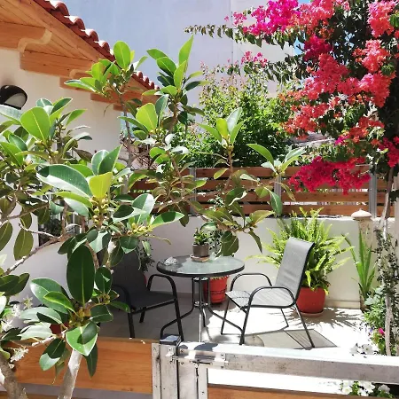 Small With Yard Apartment